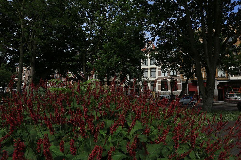 فندق أمستردامفي  Frederik Park House المظهر الخارجي الصورة